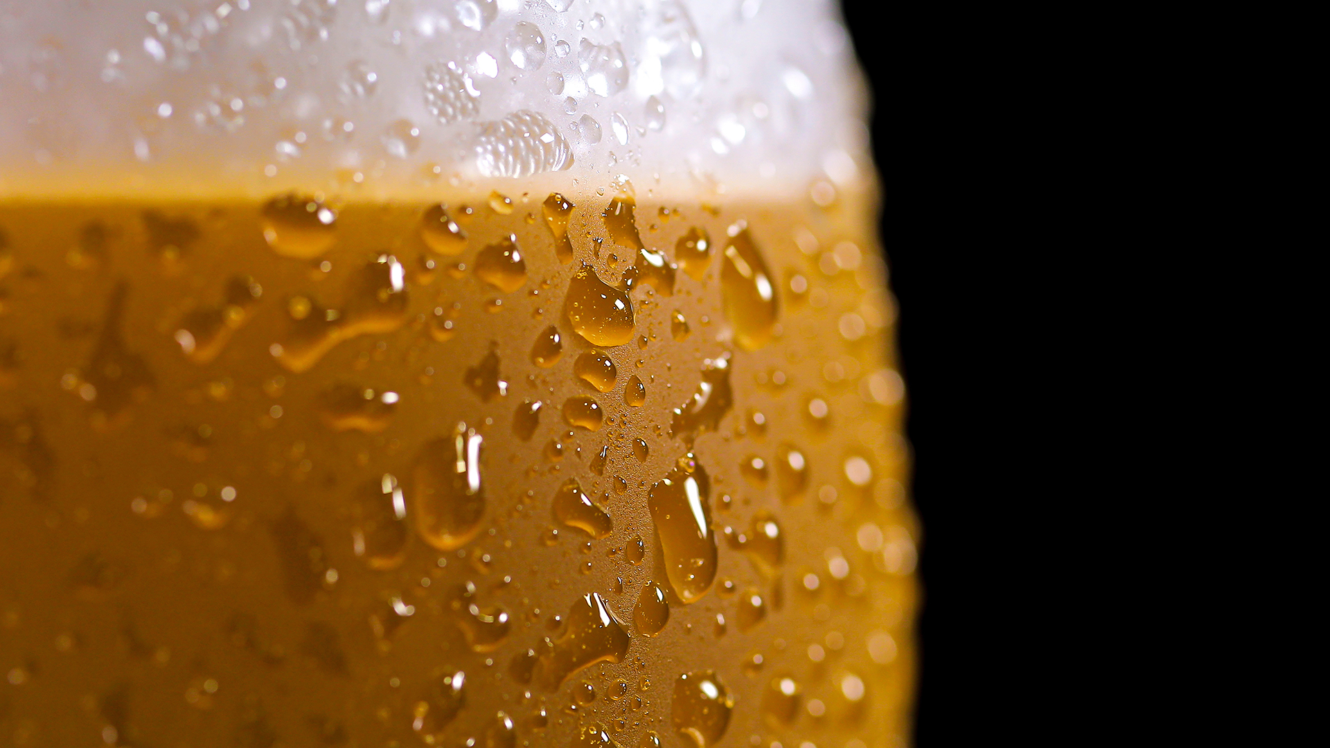 Temperatura ideal da cerveja