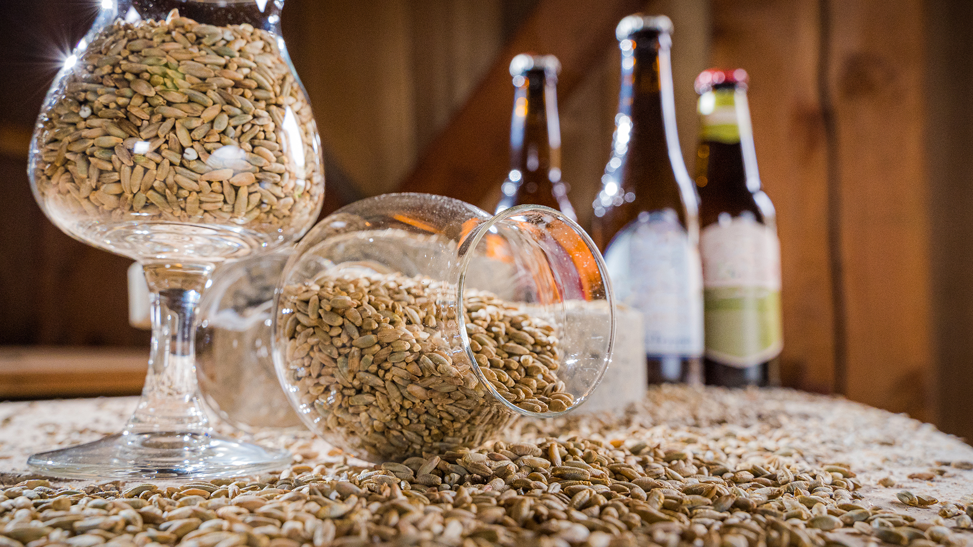 Cerveja Artesanal ou Cerveja Industrial